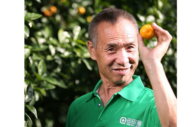 标兵!深圳这家上市公司正在成为建设中国先进现代化农业服务体系的排头兵!