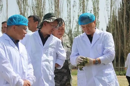 新疆第一好牛奶!这是新疆生产建设兵团第十二师控股的唯一一家A股上市公司!