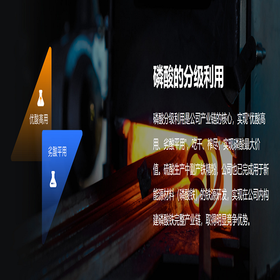 博芮东方29号私募基金已投定增标的-川金诺(300505)